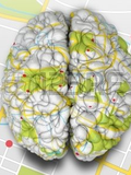 Neuropedagogia Um 2014